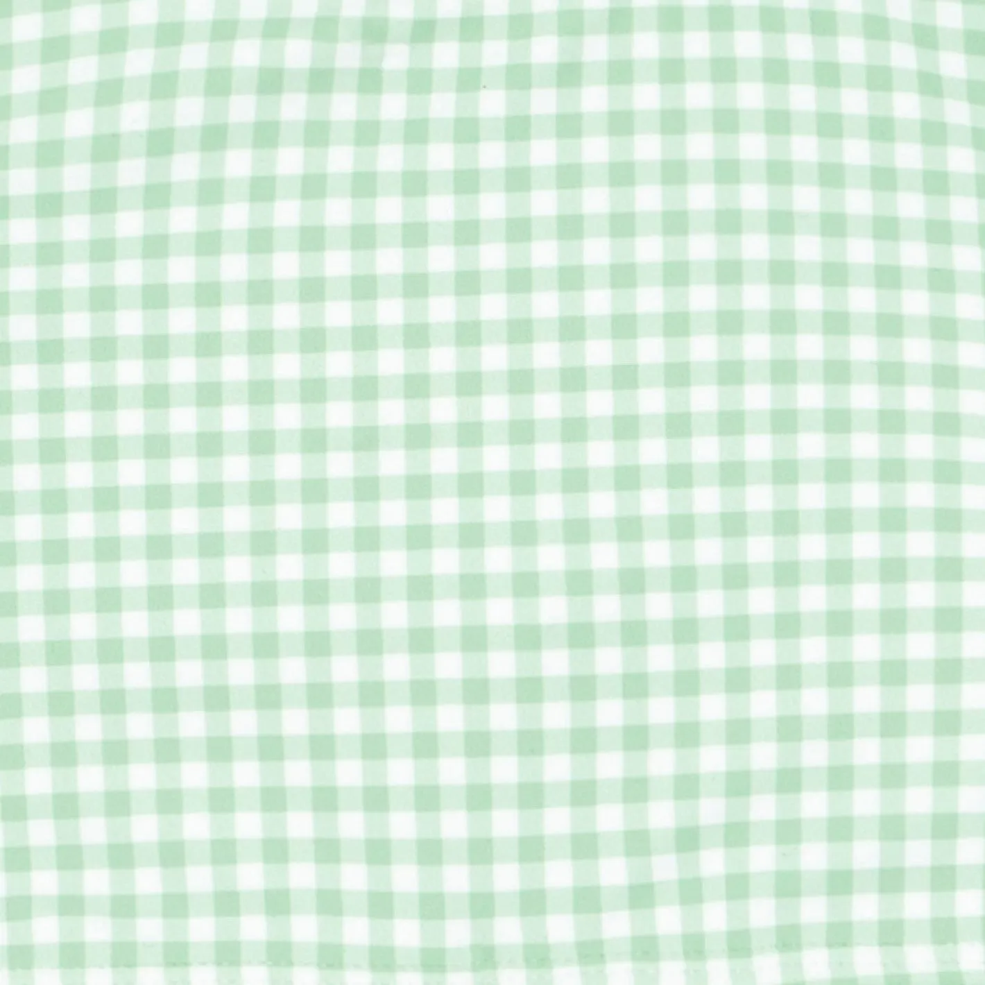 boys palm gingham brief